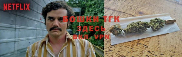 гидропоника Горнозаводск