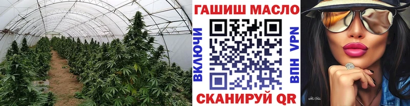 Купить закладки  Кремёнки  Дистиллят ТГК THC oil 