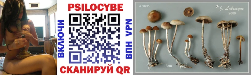Галлюциногенные грибы мухоморы  Купить где  Кремёнки 